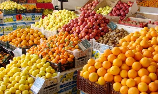 مقاومت میوه‌های تابستانه در برابر کاهش قیمت/میوه‌های خارجی در بازار جولان می‌دهند