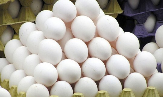 کاهش قیمت تخم مرغ و کره در گرو تخصیص ارز به نهاده‌های دامی 