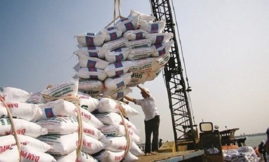 ممنوعیت واردات برنج برداشته شد/ دپوی ۲۰۰ هزار تن برنج در گمرکات