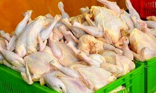  صادرات مرغ تا اطلاع ثانوی ممنوع شد