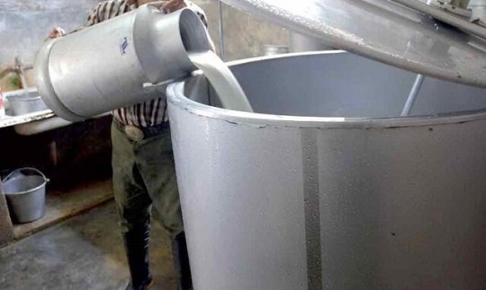 قیمت محصولات لبنی قبل از تعیین نرخ شیرخام محاسبه نمی شود