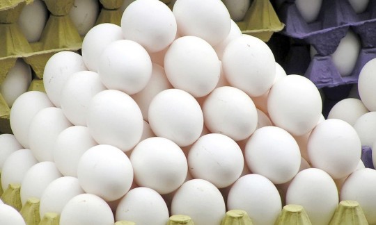  تمدید عوارض ۳۵۰۰ تومانی برای صادرات تخم مرغ