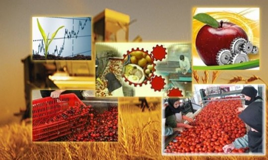  صادرات محصولات کشاورزی رکورد زد/ توزیع ۴.۹ میلیارد دلاری بین ۸ کشور