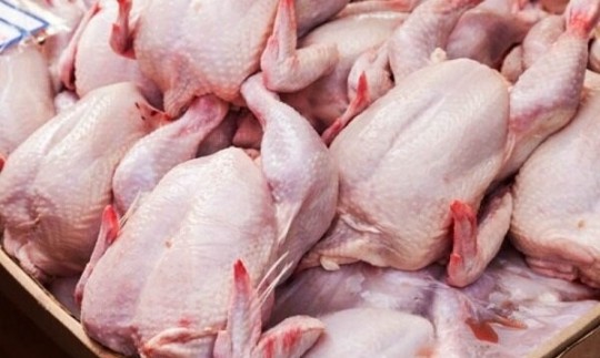 قیمت واقعی مرغ برای مصرف کننده ۳۰ هزار تومان است