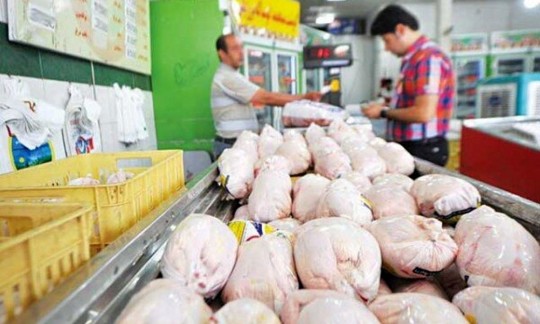 بازار مرغ تحت کنترل است/ فرآیند تولید تا توزیع تحت اختیار جهاد کشاورزی