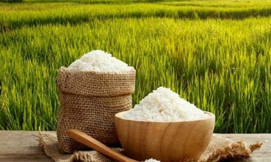  ممنوعیت واردات برداشته نشود برنج ایرانی و خارجی گران می شود