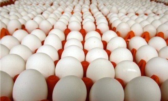 چرا بازار تخم‌مرغ ملتهب شد؟