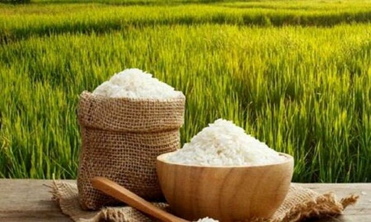 کندی ثبت سفارش واردات برنج /تغییر در قیمت برنج خارجی