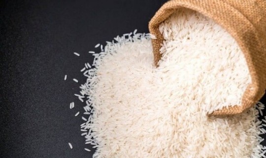 برنج کیلویی ۸۰ تومان با نرخ حداکثر۴۰ تومان از کشاورز خریداری شده است