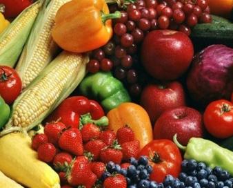 استان فارس آماده سرمایه‌گذاری مشترک با قطر در حوزه کشاورزی است
