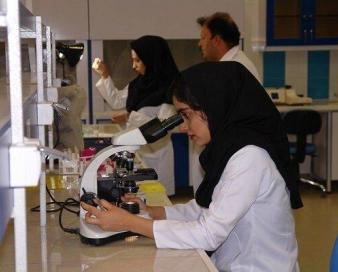 پرداخت ۸۰ درصد هزینه های آزمایشگاهی از جیب مردم