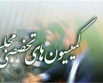 جزئیات موضوعات بررسی شده در کمیسیونهای تخصصی/طرح شفافیت قوای سهگانه اصلاح میشود