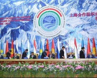 علیپور: ایران از ظرفیت عضویت در شانگهای برای بیاثر کردن تحریمها استفاده کند