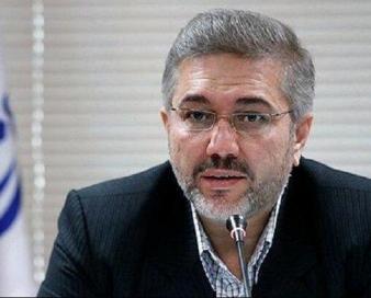 آییننامه تفکیک حساب شخصی و تجاری تا ماه آینده تدوین می شود