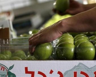 سخنان وزیر اقتصاد بلژیک در حمایت از فلسطین به مذاق صهیونیست‌ها خوش نیامد