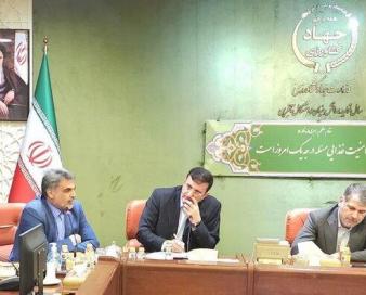صادرات سیب زمینی بهار و کبودراهنگ آغاز می شود