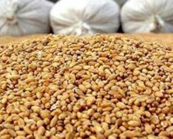احتمال واردات و صادرات نهاده‌ها و خوراک دام و طیور با ارز آزاد