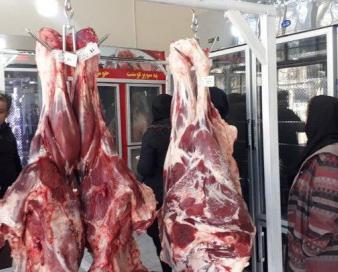 واردات گوشت از رومانی و استرالیا از هفته آینده