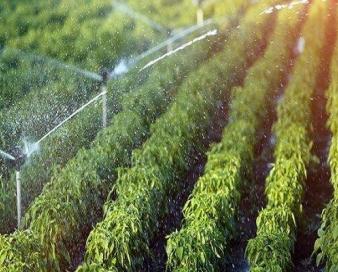 سامانه نیاز آبی گیاهان زراعی و باغی مرجع نیاز آبی تعیین شد