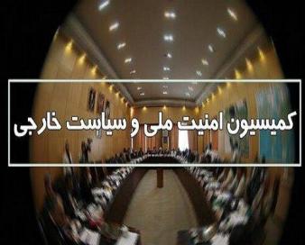 طرح نحوه تولید پرندههای هدایتپذیر با کاربری غیرنظامی بررسی شد