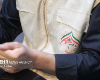 گروههای جهادی وابسته هیچ ارگانی نیستند و نیازمند سازمان مشخصاند