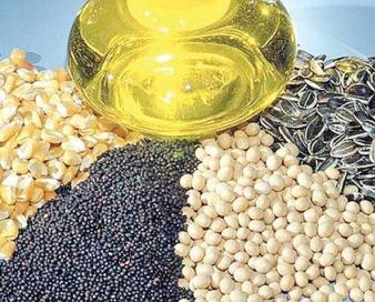 کاهش ضریب وابستگی دانه‌های روغنی در دستور کار است