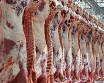 قیمت گوشت در چهارمحال و بختیاری اعلام و تثبیت شد