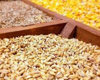اطلاعیه برون‌سپاری تأمین نهاده کنجاله سویا