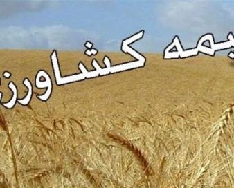 4 محصول زراعی زیر پوشش بیمه اجباری رفت