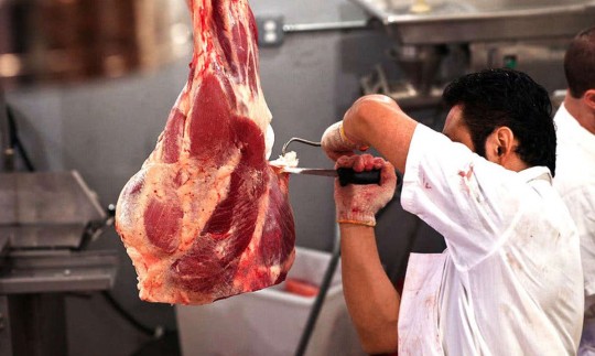 در توزیع گوشت تبعیض وجود دارد و در واردات آن رانت