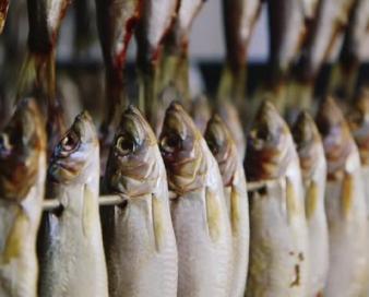 صادرات ماهی خشک قشم روی ریل رونق/ ۱۰۰۲ تُن ماهی راهی خارج از کشور شد