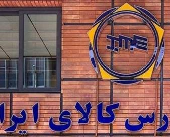 انتشار ۳۰۰ میلیارد تومان اوراق سلف موازی در حوزه کشاورزی برای محصول کیوی