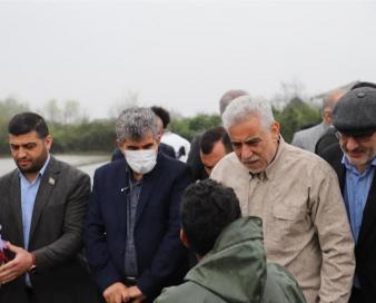 استاندار گیلان: ‌وزیر جهاد ‌جلوی واردات برنج مازاد را بگیرد