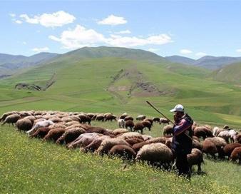 ثبت‌نام بیمه رایگان مادران غیرشاغل روستایی و عشایر در اصفهان