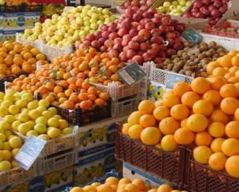 صادرات سیب و پرتقال مازاد در راستای حمایت از تولید داخل امری ضروری است