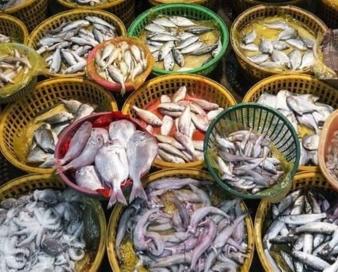 صادرات 75 تن خوراک آبزیان از لرستان به عراق