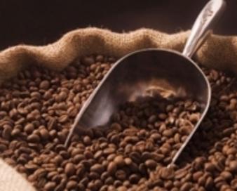 واردات قهوه به ۵۲ هزار تن رسید