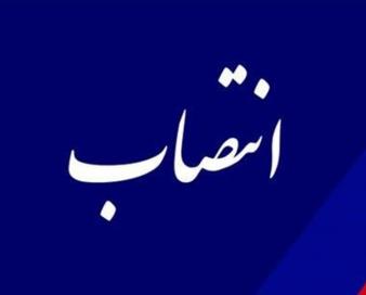 مدیرکل گمرک شهید رجایی منصوب شد