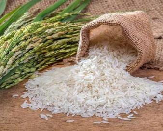 سالانه ۳ میلیون و ۵۰۰ هزارتن برنج مورد نیاز کشور است