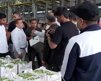 بازدید هیات تجاری و اقتصادی هرمزگان از مراکز توزیع میوه و تره بار کشور چین