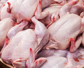 هدفگذاری صادرات یک هزار تن مرغ