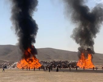 ۱۳ کانتینر کالاهای وارداتی در بوشهر امحا شد