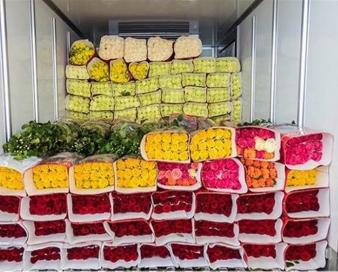 صادرات محصولات یک هنرستان ایرانی به هلند!