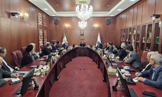 وزیر امور اقتصادی و دارایی با مدیران عامل عضو کانون بانک‌ها و موسسات اعتباری خصوصی دیدار کرد