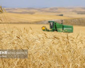 واردات گندم صفر شد