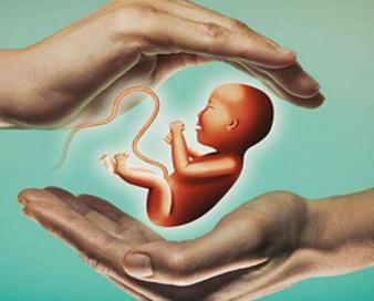 سایه شوم کاهش فرزندآوری بر سر کشور؛ تلاش صدساله برای توقف رشد جمعیت
