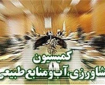 بررسی چالش‌ها و ارائه راهکارهای تولید گوشت قرمز در جلسه کمیسیون کشاورزی مجلس
