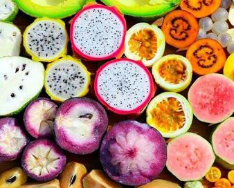 گوش بری با میوه‌های لاکچری/ هر کیلو ۱.۴ میلیون تومان!