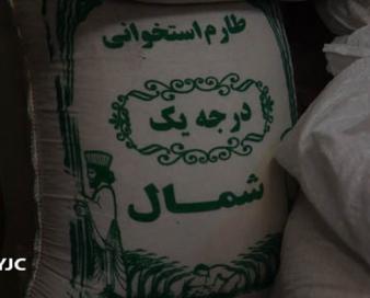 برنج کشاورزان در انبار واسطه‌ها؛ کمبود مصنوعی برای افزایش قیمت، بازی دلالان