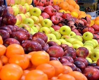 هشدار مدیریت صادرات سیب درختی و کیوی